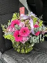 IMG_3872.webp