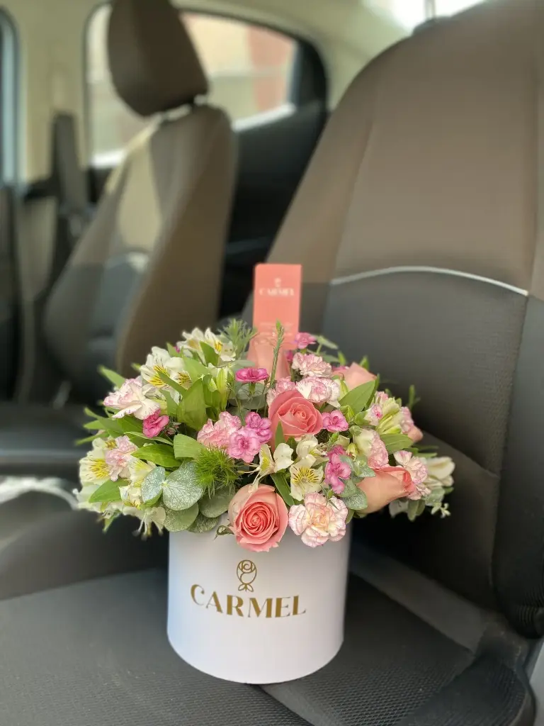 Caja de Temporada CH🌸
