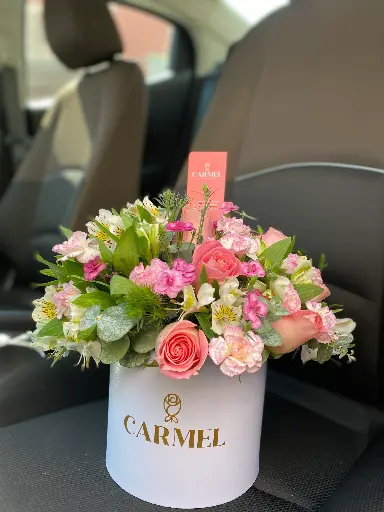 Caja de Temporada CH🌸