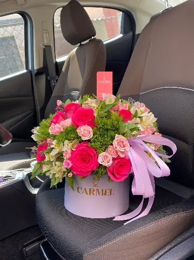 Caja de Temporada M🌸